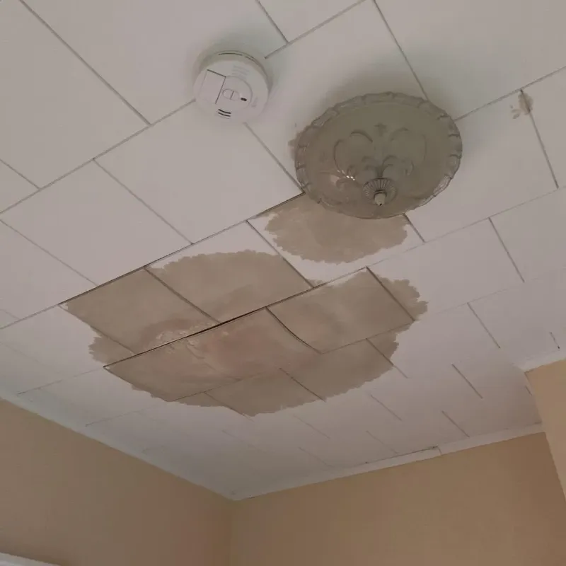 Ceiling Water Damage Repair in Morristown, IN