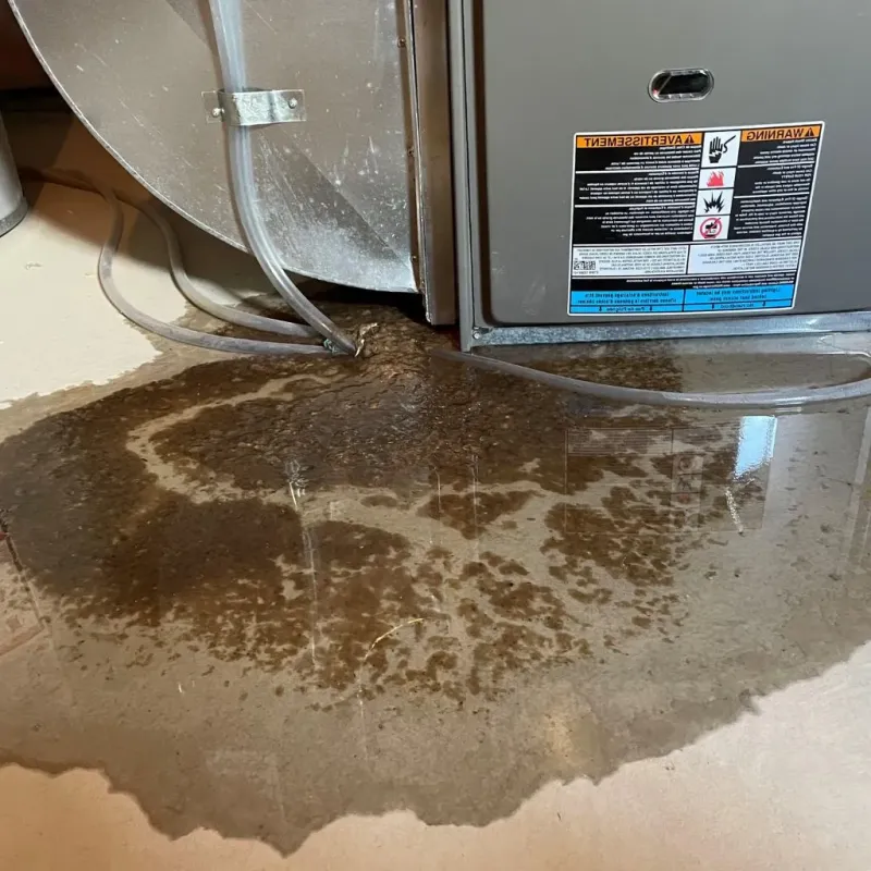 Pipe Burst and Leak Restoration in Morristown, IN