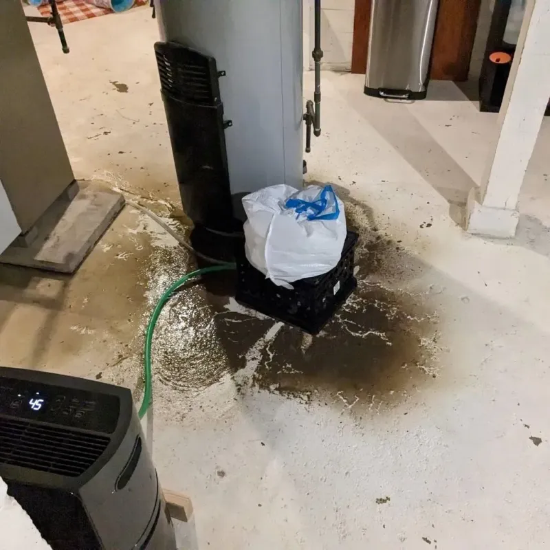 Sewage Backup Cleanup Service in Morristown, IN